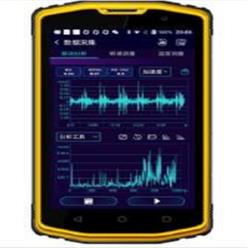 智能轴承诊断仪 型号:RP62-LC100S库号：M304520