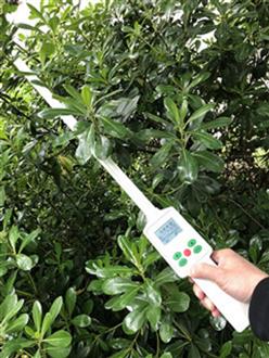 植物冠层分析仪（中西器材） 型号:M347808-TOP-1000