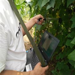 叶面积指数测量仪/植物冠层分析仪（带笔记本）M307700-SY-S01A