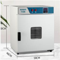 电热恒温干燥箱（不锈钢内胆带鼓风）（中西器材） 型号:M405439