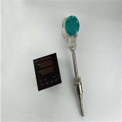 管道压缩空气温湿度检测仪中西器材 型号:WL100-M389004