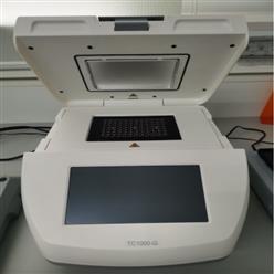 PCR仪/梯度扩增仪 型号:TC1000-G库号：M252927