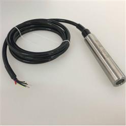 投入式液位计 型号:LD31-S111-N-LL库号：M274723