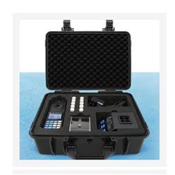 便携式总氮测定仪 型号:CH100-PWN-810B库号：M407808