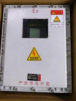 气体报警控制器 型号:CJ-300库号：M141963