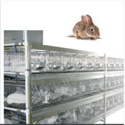 不锈钢双面水冲式兔笼 型号:JV222-RB44-30库号：M29584
