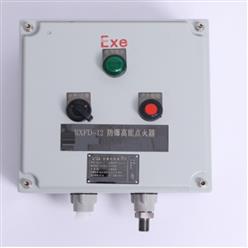防爆控制箱点火器 型号:DD12-RXFD12库号：M406327