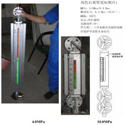 石英管式双色水位计  型号:GJ633-XBY10S2-440L库号：M177831