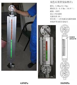石英管式双色水位计  型号:GJ633-XBY10S2-600L库号：M256213