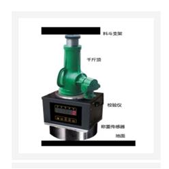 无线称重校验仪 型号:GY088-GHG库号：M243672