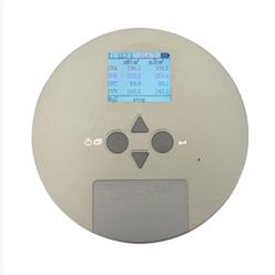 UV能量辐射记录仪（中西器材） 型号:ZXSDR-UVA库号：M361681