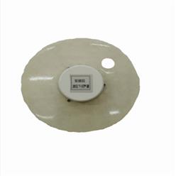 总辐射记录仪（中西器材） 型号:ZXZFS-24库号：M342215