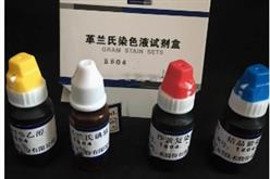 革兰氏染色液试剂盒  型号:UE622-CM1001库号：M234488