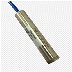 渗压计 型号:KM1-VWP-1.0库号：M408422
