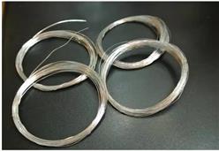 高纯铂金丝 中西器材 型号:MW955-0.8mm×80mm库号：M39362
