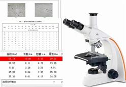 炭黑分散度测试仪 型号:CDW30-WST-2019库号：M409016