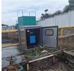 在线蓝绿藻检测仪（中西器材） 型号:ZXLVZ-5000库号：M409114