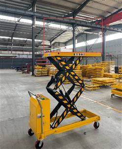 双层举升机/电动平台车（中西器材） 型号:HFD-XX-2000F库号：M409794
