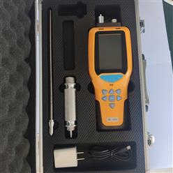 泵吸式氧气检测仪 型号:DLW0-WL-3000库号：M410139