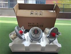 放电计数器（中西器材） 型号:JS-8库号：M410180