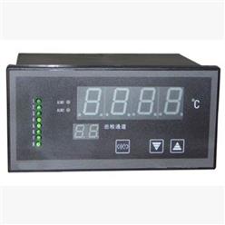 温度巡回检测仪 型号:ZX/XMTJ812WT库号：M410546