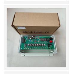 脉冲喷吹控制仪 （中西器材） 型号:DMK-J1S-20X库号：M410729