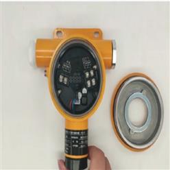 硫化氢气体报警器 型号:C610库号：M410954