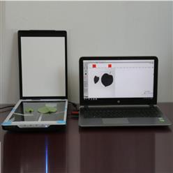 针叶图像分析仪 型号:TT34-FS-leaf1000Z库号：M364387
