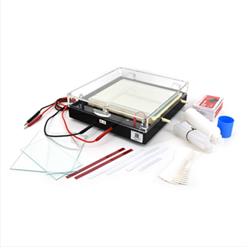 等电聚焦电泳仪 型号:CN61-DYCP-37B库号：M394560