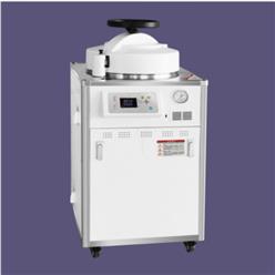 立式高压蒸汽灭菌锅 型号:LDZX-50L-I库号：M411130