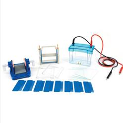 迷你双垂直电泳仪(小号) 型号:DYCZ-24DN库号：M360798