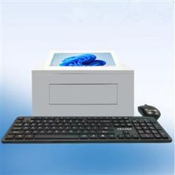 全自动酶标仪 型号:HHD3-KD-810C库号：M346235