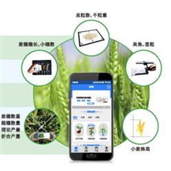 小麦表型检测系统（中西器材） 型号:ZXXMBX-2库号：M358488