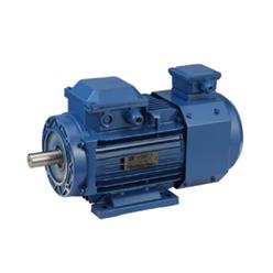 电磁制动三相异步电动机 型号:Y2EJ802-4库号：M411423