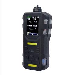 便携式气体检测报警器 型号:BX33-S316库号：M411606