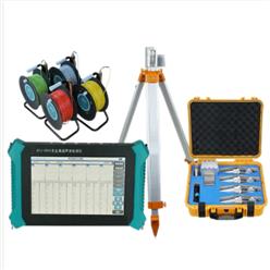 非金属声波检测仪 型号:GTJ-U960 库号：M411866