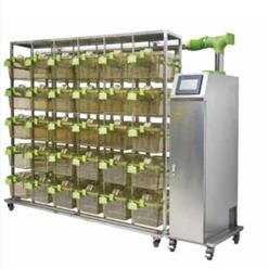 GH型小鼠IVC笼具 型号:FS944-GH56-2库号：M244644