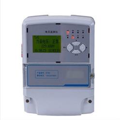 电压监测仪 型号:YL12-DT60库号：M377179