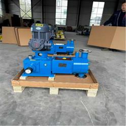 液压隔膜计量泵（中西器材） 型号:M406669-CJ-DM600/8