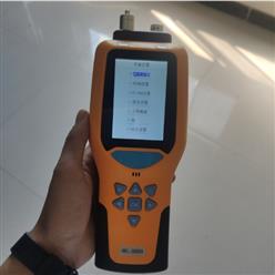 泵吸式氧气检测仪 型号:DL90-WL-3000库号：M410139