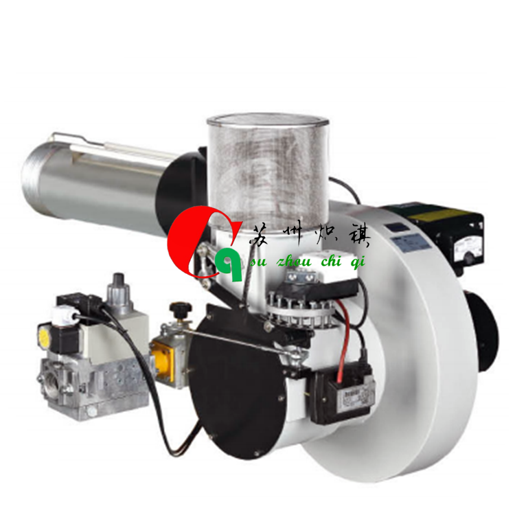 百燃0.5吨低氮燃烧器BM4/2 30毫克以下