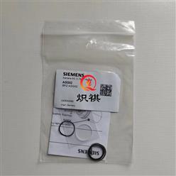 隔热玻璃AGG02火焰检测器