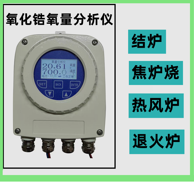 氧化锆氧量分析仪（中西器材） 型号:M157359库号：M157359