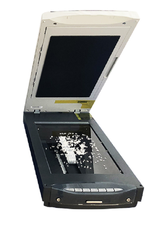 大米外观品质检测仪 型号SC-E M342378 
