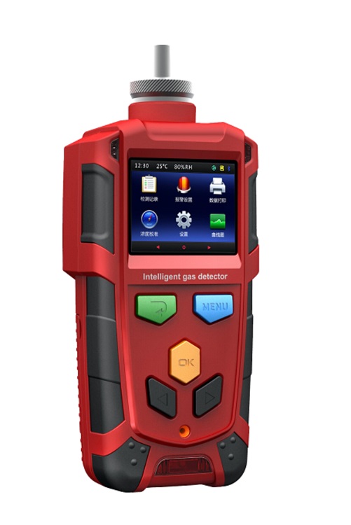 便携式氧气测定仪 型号B1010-O2-I 