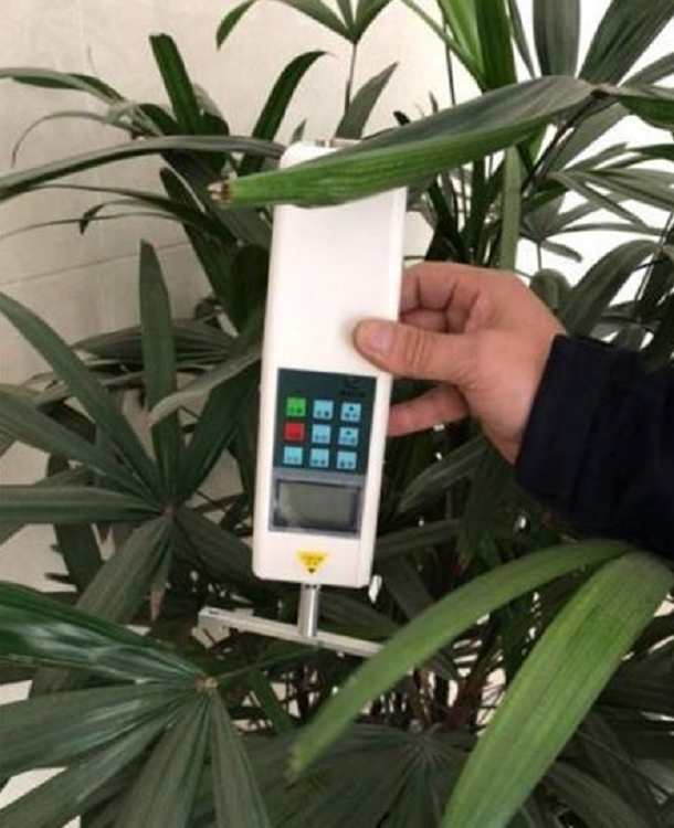 植物抗倒伏测定仪 型号50N 库号M405594 