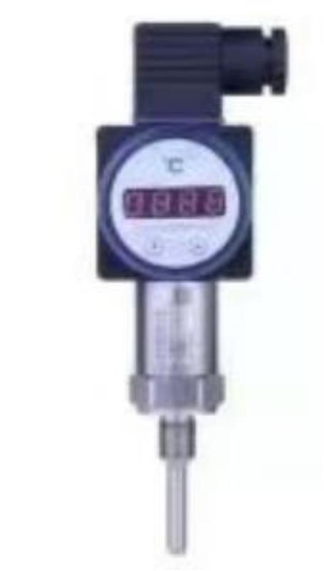温度变送器型号CWDZ11-X-05-RS-19-L30