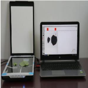 叶片图像分析仪 型号ZXYM-D 库号M391182 