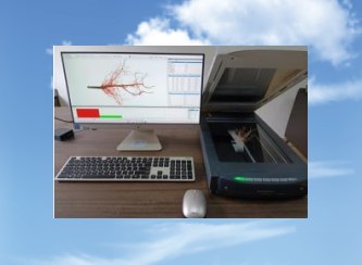 根系分析系统 型号ZXGXY-B库号M398630