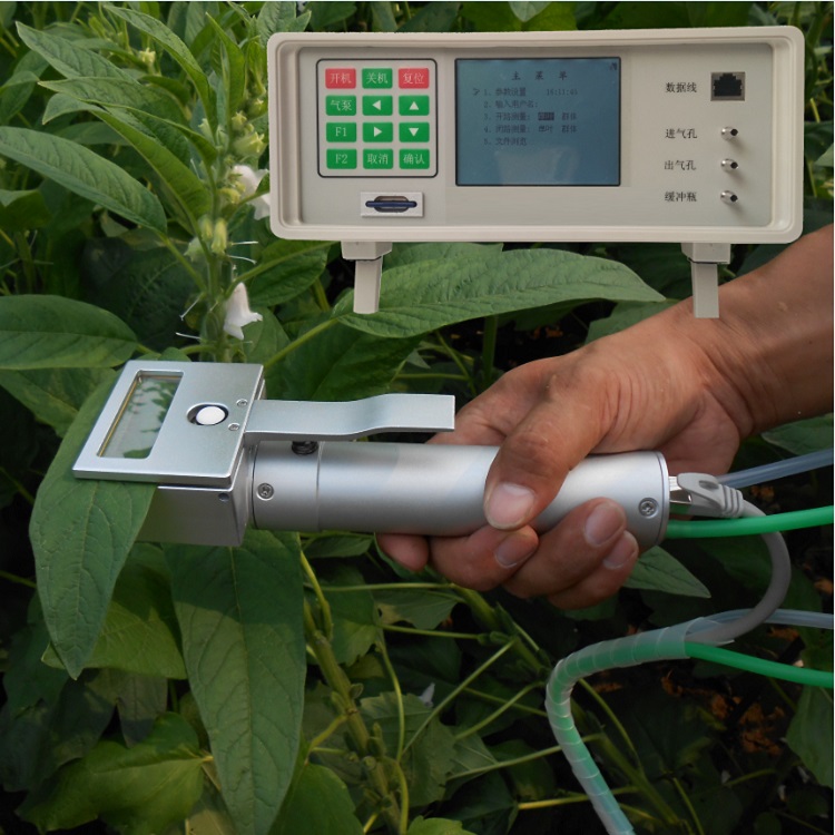 植物光合测定仪 型号M96545库号：M96545 